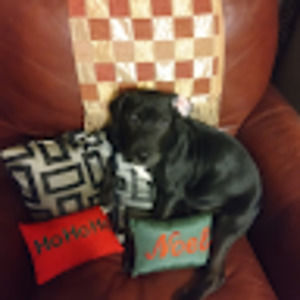 Meet your Posher, Debbie